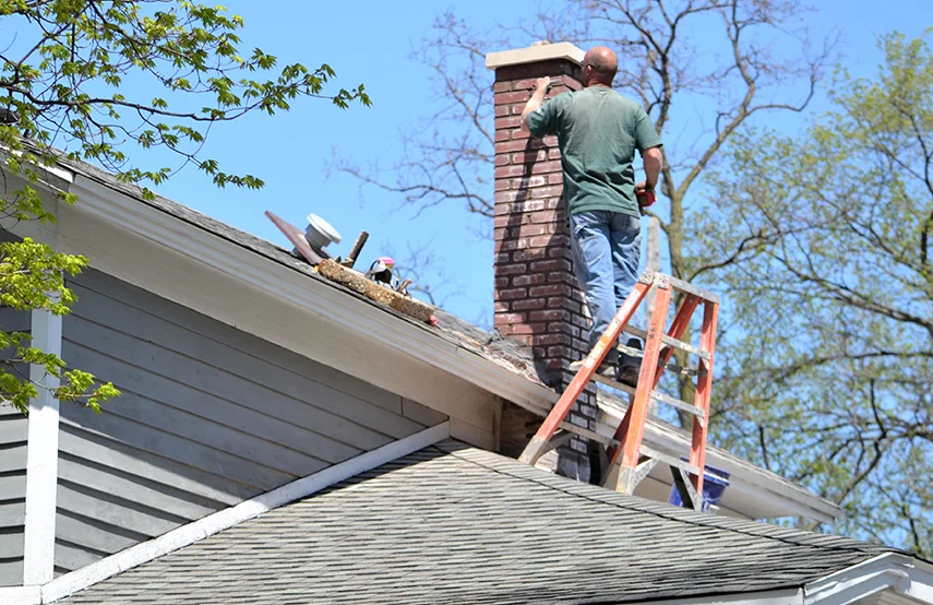Chimney & Fireplace Inspections Services in Johns Creek, GA